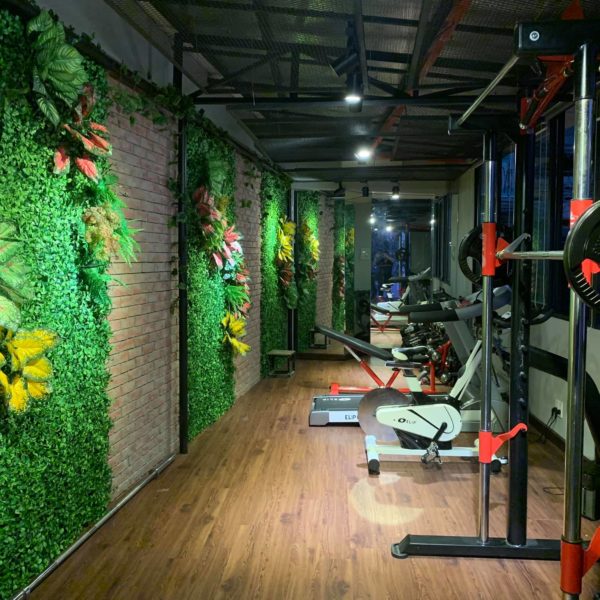 53117831_2074360235975260_49607121376903168_o